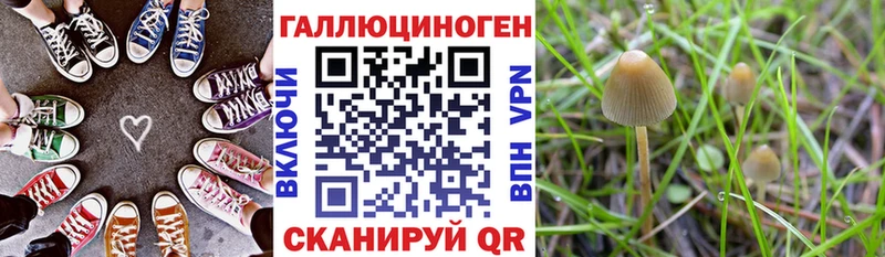 Купить где  Печора  Псилоцибиновые грибы мухоморы 